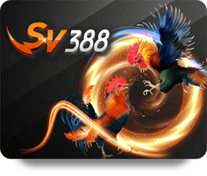 188BET Live Dealer Hot: Experience the Thrill of Real-Time Gaming